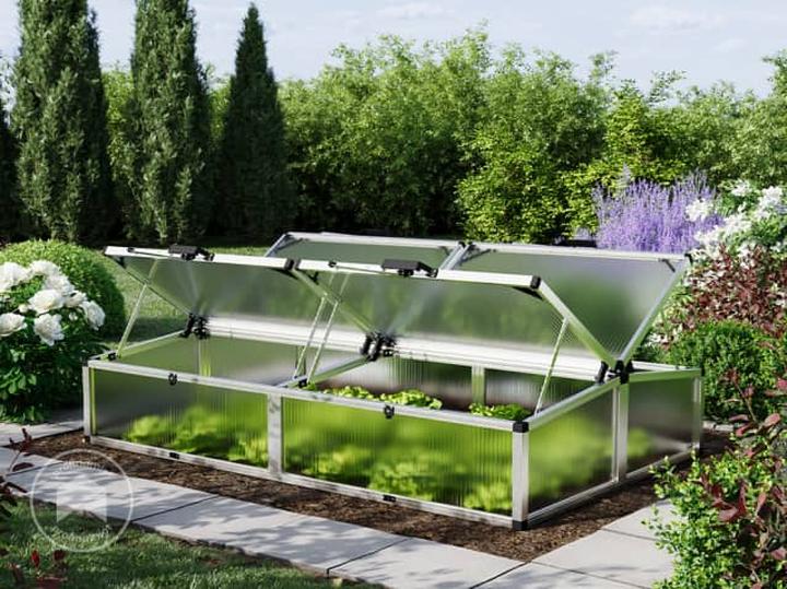 Idealne warunki dla roślin