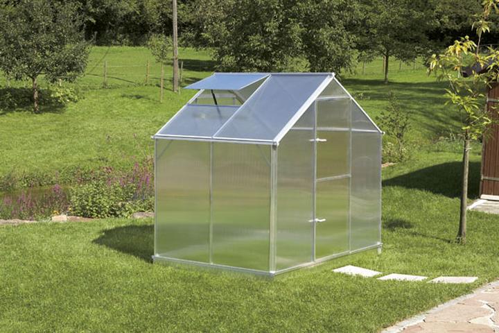 Praktyczne porady dla roślin