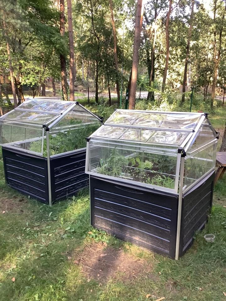 Stylowe dekoracje z roślinami