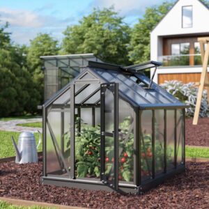 Jak efektywnie zorganizować przestrzeń dla roślin w mini szklarniach na balkonie? Praktyczne porady i inspiracje