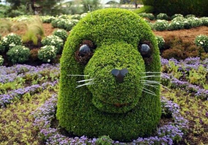 Sztuka jako klucz do przemiany domowego ogrodu w oazę spokoju