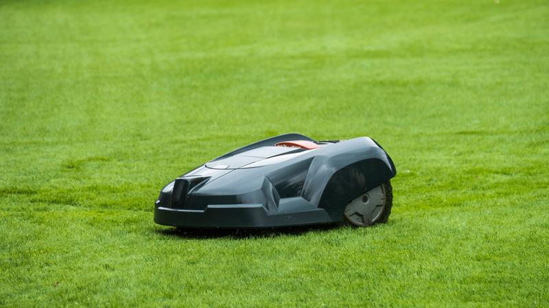 Wybór kosiarki automatycznej