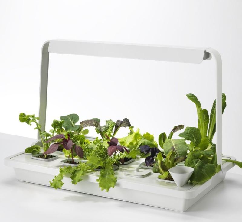 Korzyści zdrowotne i ekonomiczne ogrodnictwa