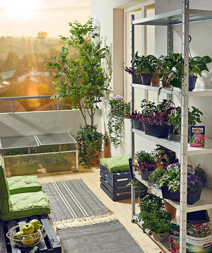 Uprawa warzyw i ziół w przydomowym ogrodzie